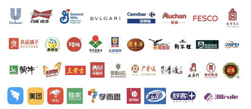 技術驅動智能包裝服務，小象智合獲創世伙伴CCV數千萬元融資